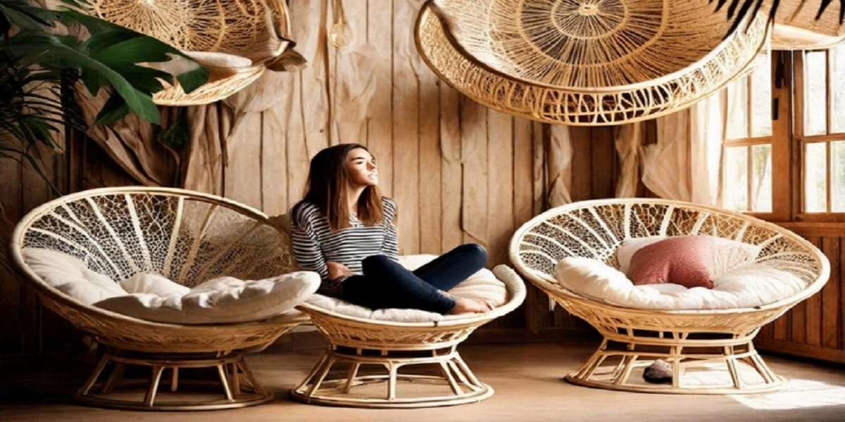 2024: Transform Your Space with Papasan Chair